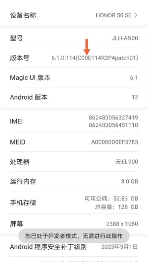 scene9工具箱2026下载