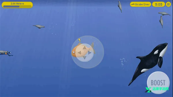 ��ζ�������㰲׿���ֻ���