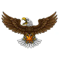 ��ӥTV��׿���ֻ���v8.7 app