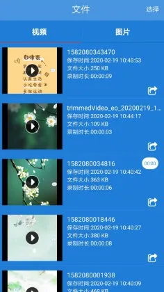 �ֻ�¼����ʦ2026����