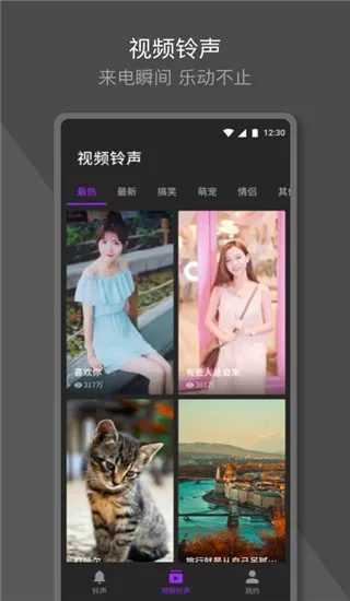 Q������(������������)