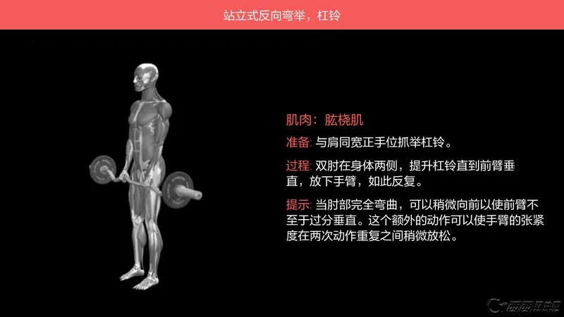 Ī�Ƚ���(������������)