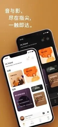 HiFier(���ֲ��Ź���)