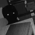 Ѱ��α���ֻ���������v1.0.1 ��׿��