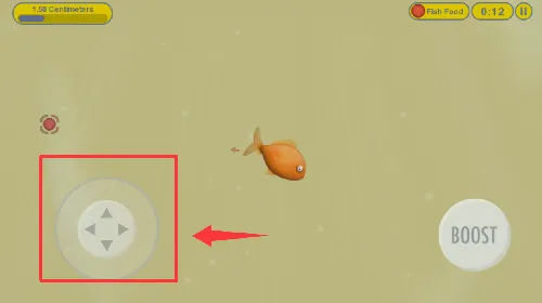 ��ζ���������