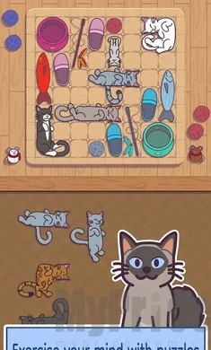 ���׶�(è�������Ϸ)