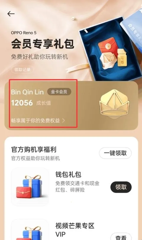 我的 realme2026下载