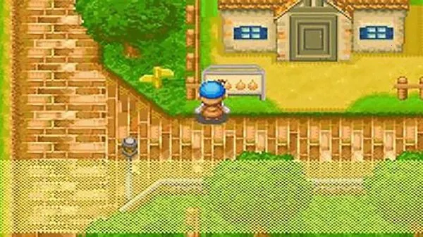 牧场物语矿石镇的伙伴们2013完美版安卓版手机版