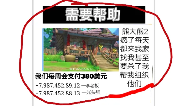 熊出没的五夜后宫(熊出没五夜后宫)