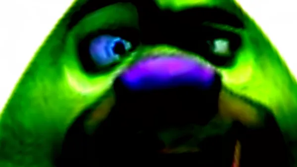 熊出没的五夜后宫(熊出没五夜后宫)