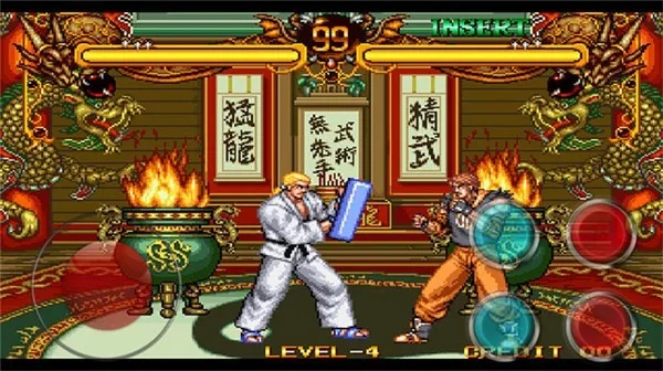 双截龙格斗(动作格斗游戏) 双截龙格斗(动作格斗游戏)