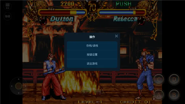 双截龙格斗(动作格斗游戏) 双截龙格斗(动作格斗游戏)