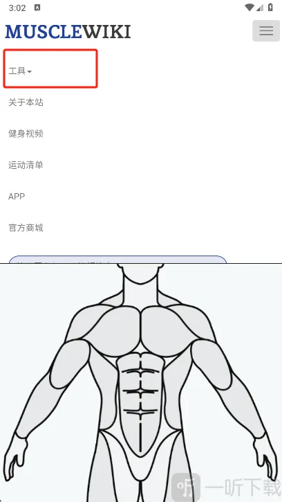 Muscle Wiki2026下载安装