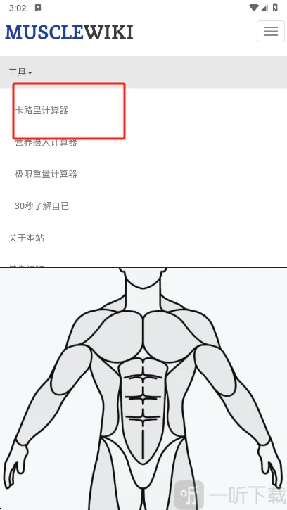 Muscle Wiki2026下载安装