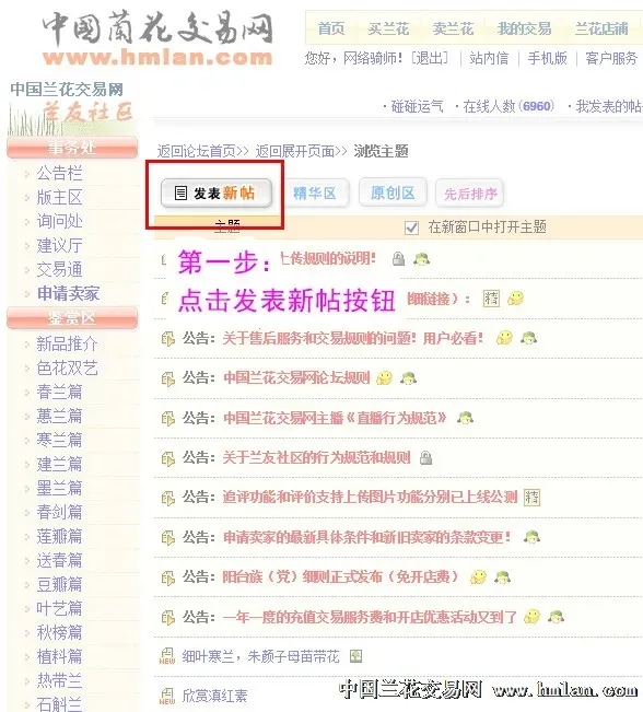 兰花交易网2026下载安装