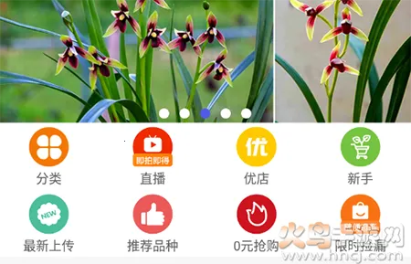 兰花交易网2026下载安装