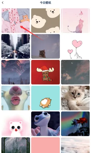 趣岛2026官方最新版本