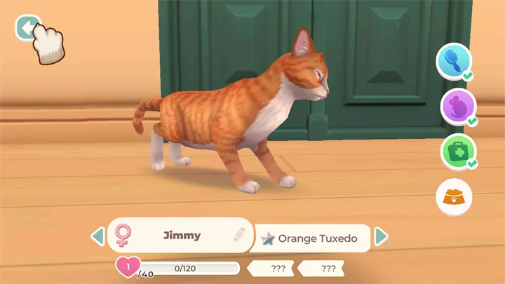 猫咪救援故事(猫咪救援游戏)