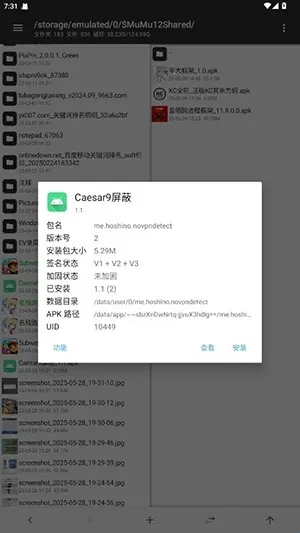 Caesar9屏蔽(游戏防护工具)