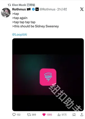 Loopit2026官方正版