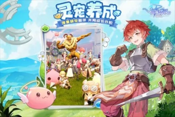 仙境传说ro破晓(ro手游新体验)