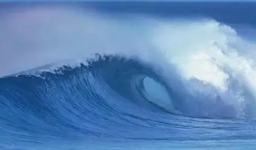 观色配色安卓版手机版