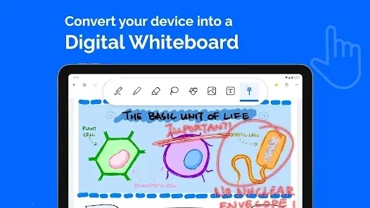 Notewise2026�ٷ�����