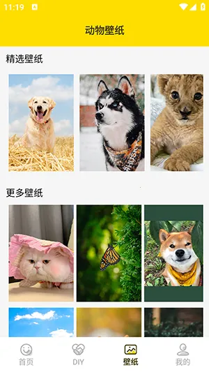 ���ӱ���������ֻ���