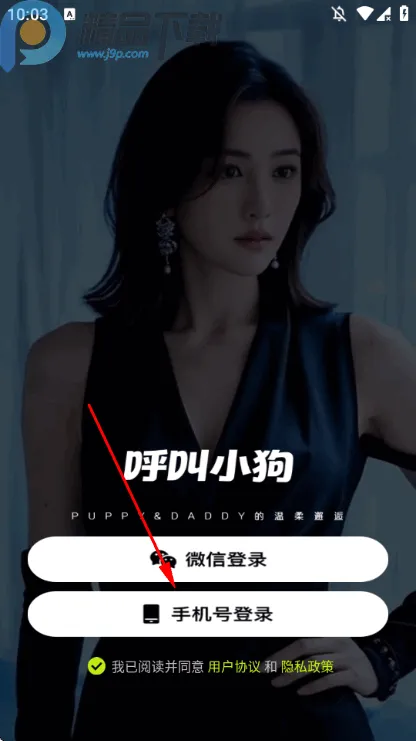 ����С�������ֻ���