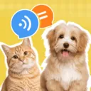 è�����ｻ������2026���°汾v1.0.2 �ֻ���