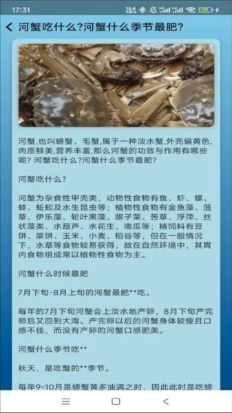 �����ֳ�����ֻ���