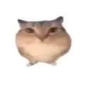 �ͰͲ�һ����v1.0 ��׿��