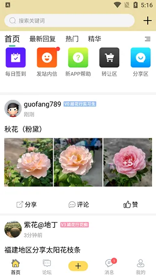 踏花行2026最新版本 踏花行2026最新版本