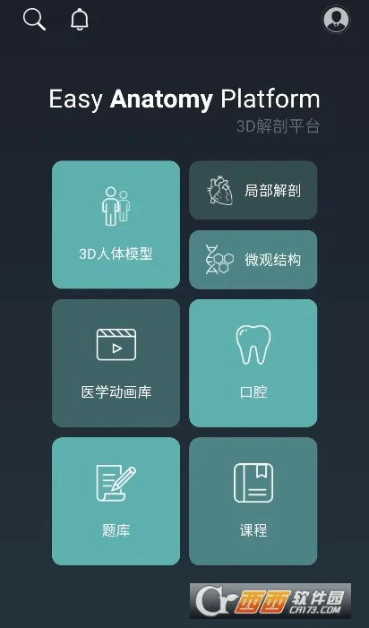 easy解剖