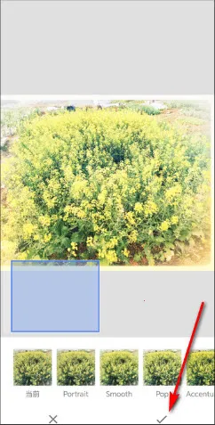 BetterSeed��׿���ֻ���