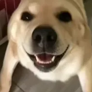 �󹷽���Ϸ������ư�v1.1 ��׿��